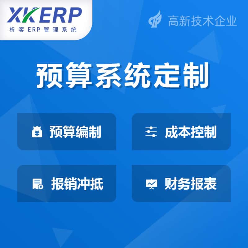 山东财务预算管理系统