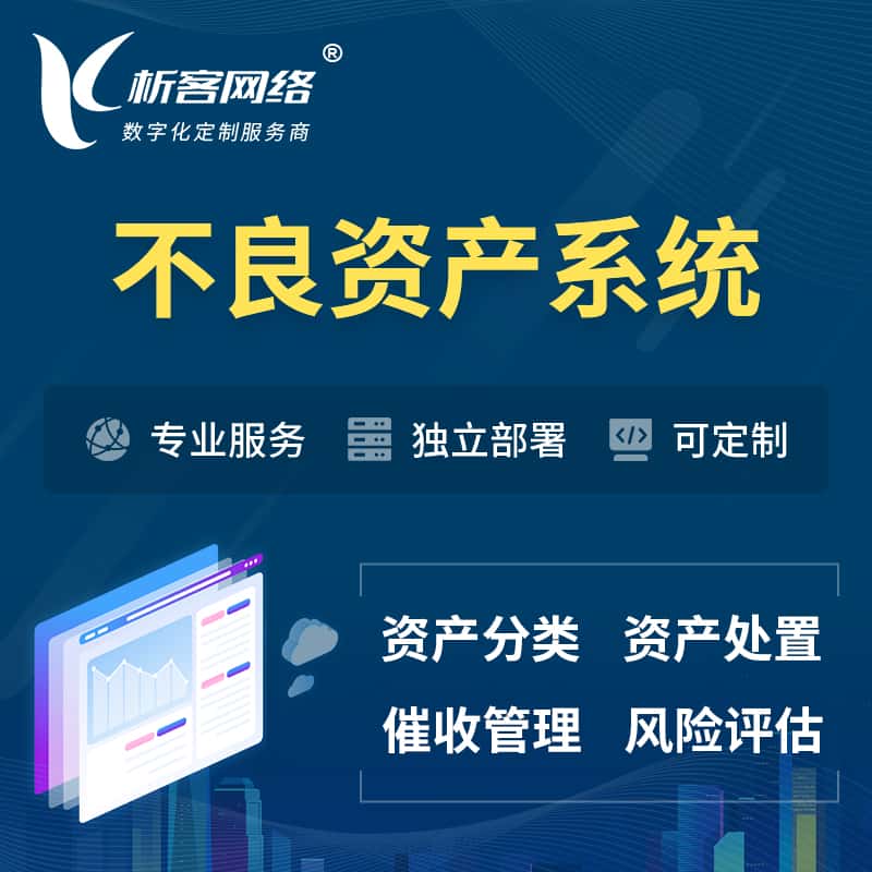 山东不良资产管理系统