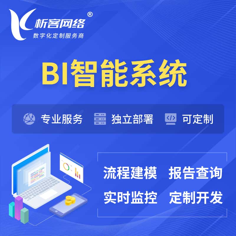 山东BI智能系统 | BI数据可视化